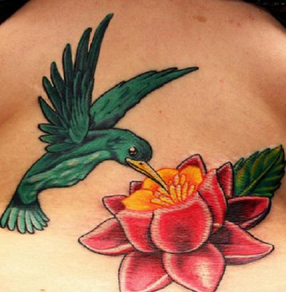 Hummingbird And Lotus Flower Tattoo